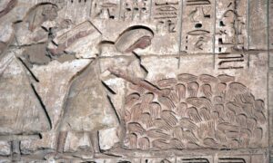A relief from the mortuary temple of Ramesses III at Medinet Habu depicting severed hands of defeated enemies. Asta, Public domain, via Wikimedia Commons